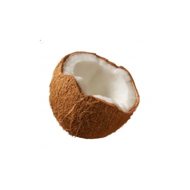 Fractionated Coconut oil 2