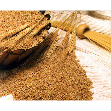 Wheat Germ Oil