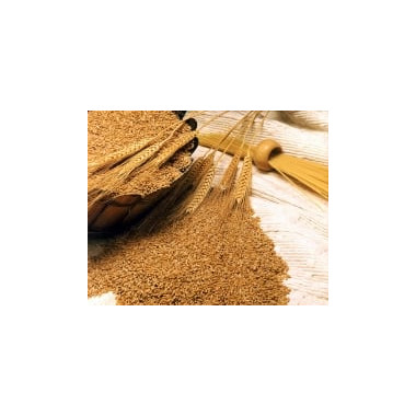 Wheat Germ Oil 2
