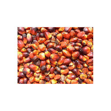 Palm Kernel Oil