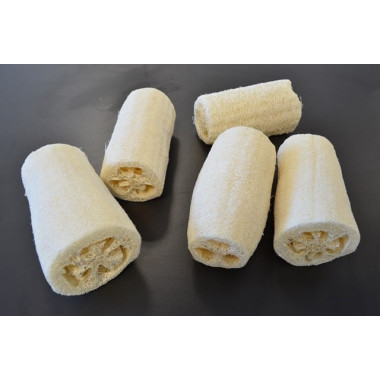 Luffa 2