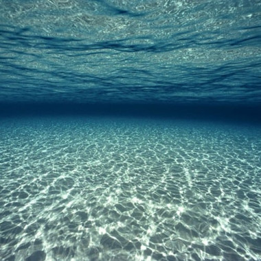 Ocean 3in1