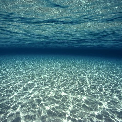Ocean 3in1