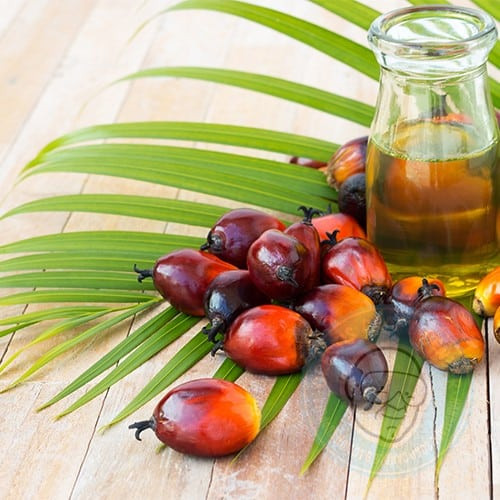 Palm Oil