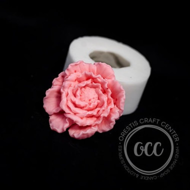 camelia