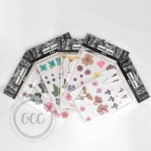 Pressed flowers and botanicals