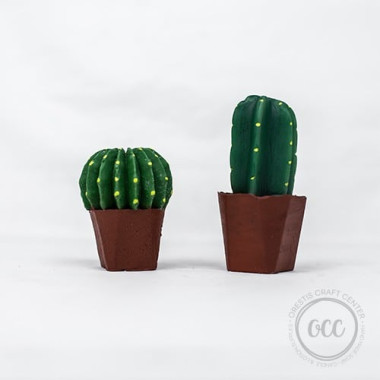 Cactus Long 2