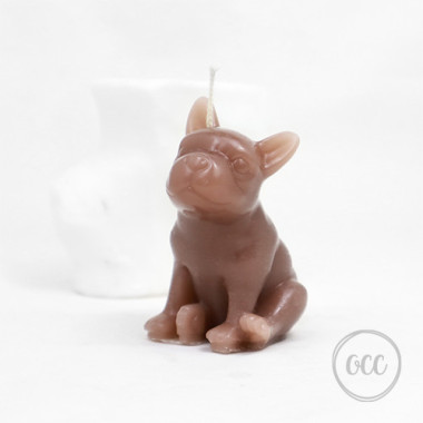 French Bulldog 2