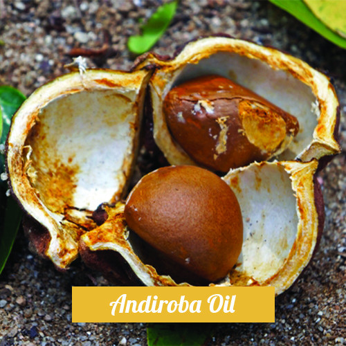 Andiroba Λάδι