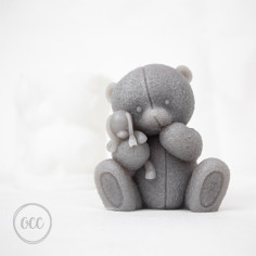 Teddy Bear with plush toy