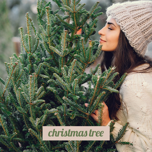 Christmas Tree 3in1