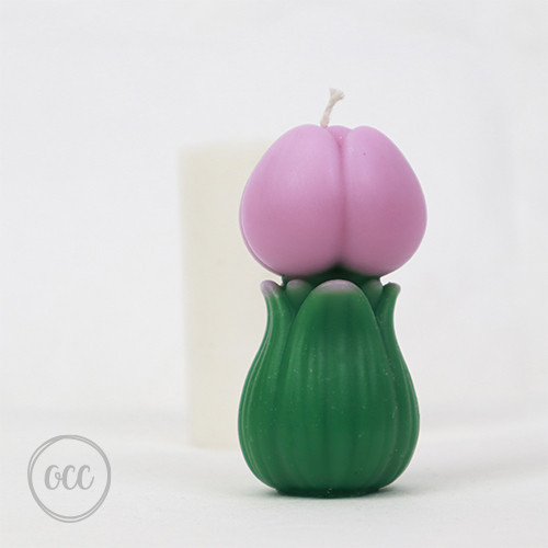 Little tulip