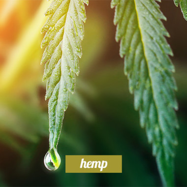 Hemp 3in1
