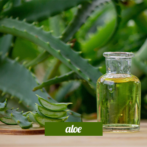 Aloe Vera 3in1