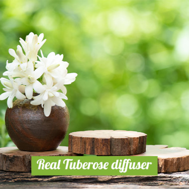Real Tuberose Diffuser