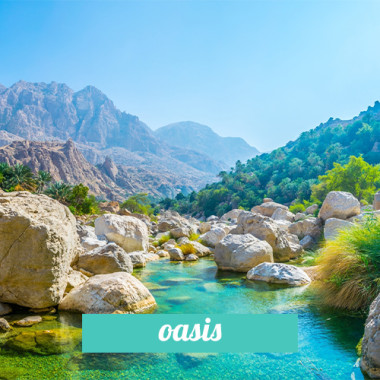 Oasis 3in1