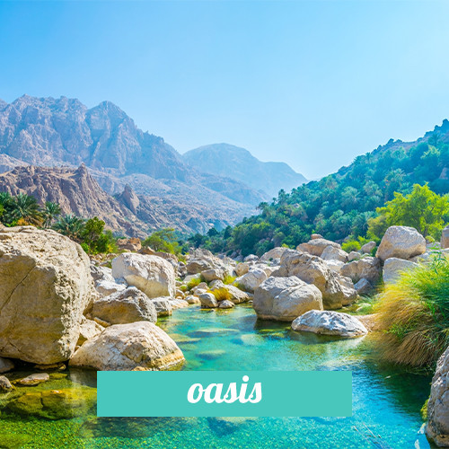 Oasis 3in1