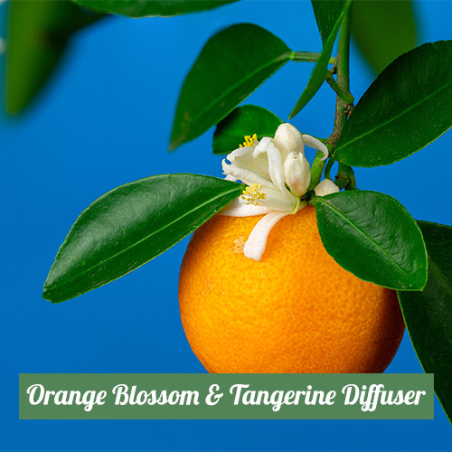 Orange Blossom & Tangerine Diffuser