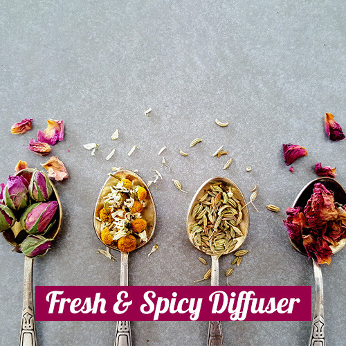Fresh & Spicy Diffuser