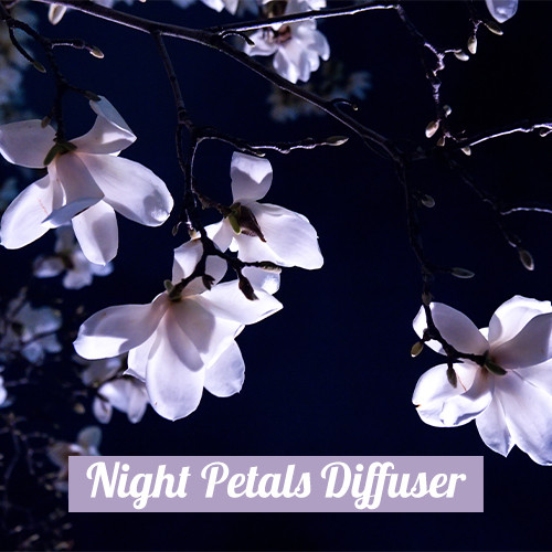 Night Petals Diffuser