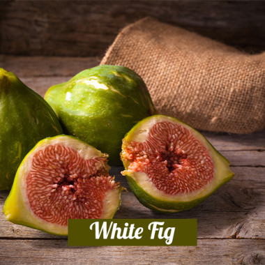 White Fig 3in1 (Τύπου)