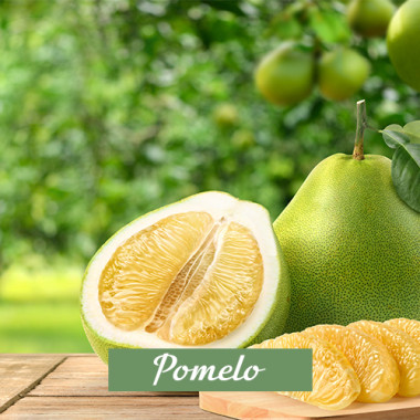 Pomelo 3in1
