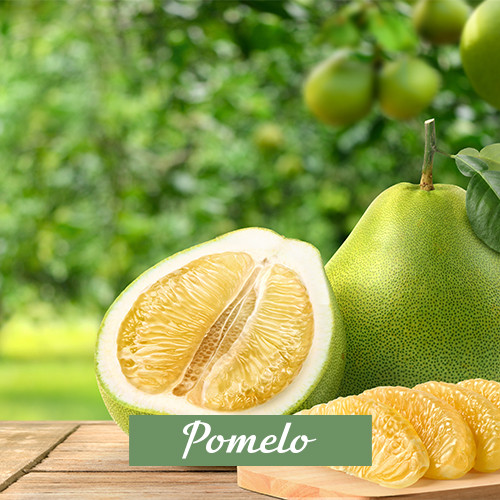 Pomelo 3in1