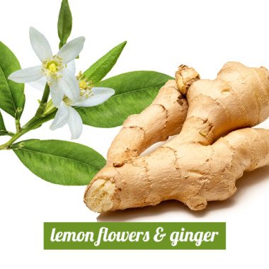 Lemon Flowers & Ginger 3in1