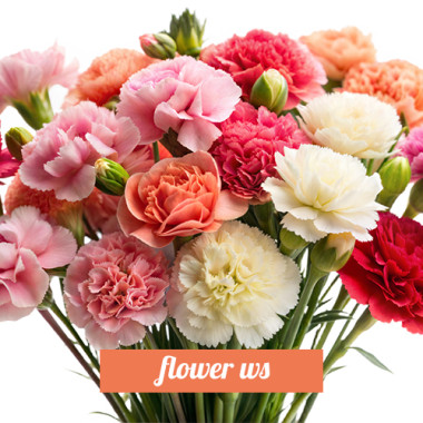 Flower WS