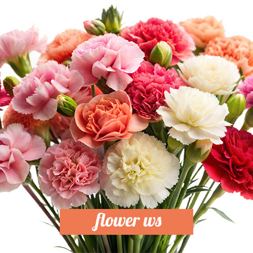 Flower WS