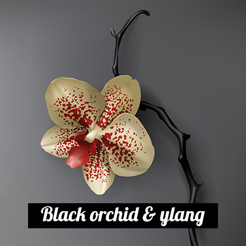 Black Orchid & Ylang 3in1