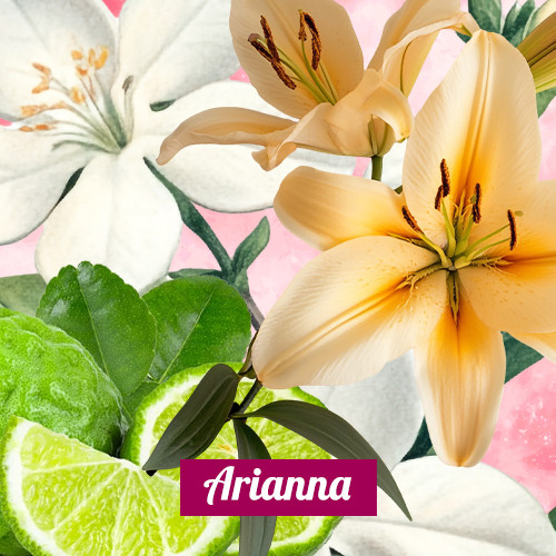 Arianna 3in1 (Type)