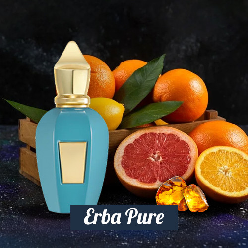 Erba Pure 3in1 (Type-Premium)