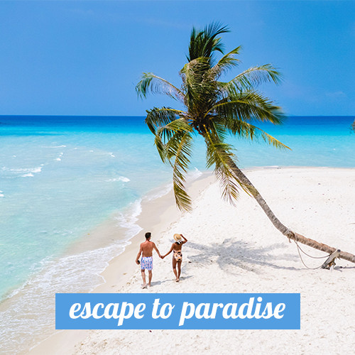 Escape to Paradise 3in1