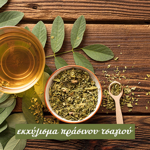 Green Tea extract