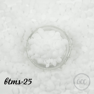 BTMS-25 2