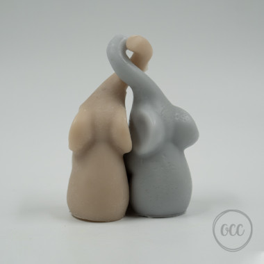 Elephant Couple