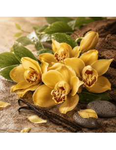Gold Orchid 3in1
