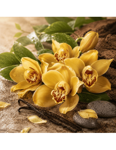 Gold Orchid 3in1