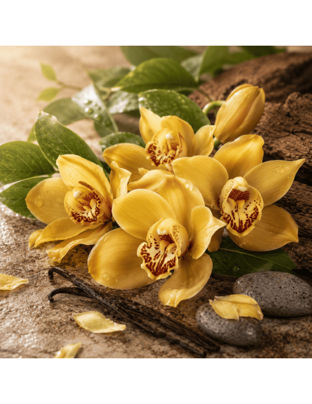 Gold Orchid 3in1
