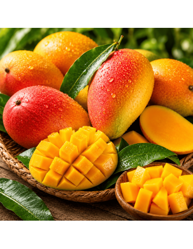 Mango 3 in 1