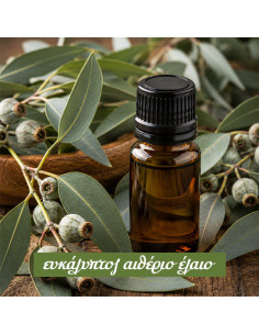Eucalyptus Essential Oil
