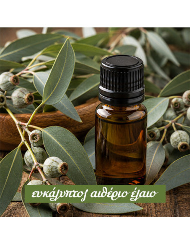 Eucalyptus Essential Oil