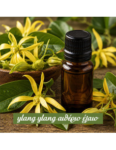 Ylang Ylang Αιθέριο Έλαιο