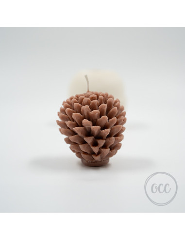 Pine Nut Medium Round