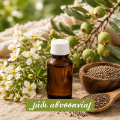 Abyssinian Oil