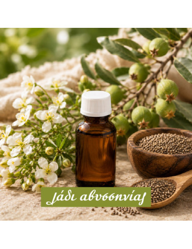 Abyssinian Oil