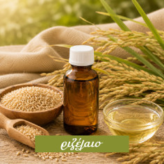 Rice Bran Oil