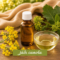 Canola Oil